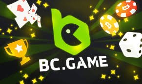 Unlocking the Potential of BC Platform App A Comprehensive Guide